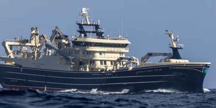 Også i norsk farvand var der aktivitet. Den færøske trawler **Finnur Fríði** landede 800 tons makrel. foto: EMS Fiskur.fo