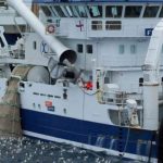 Godt sildefiskeri ved Island i efterårsmånederne foto: Vardin Pelagic