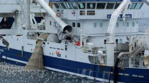 Godt sildefiskeri ved Island i efterårsmånederne foto: Vardin Pelagic