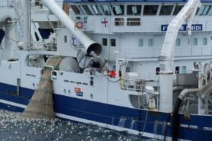 Godt sildefiskeri ved Island i efterårsmånederne foto: Vardin Pelagic