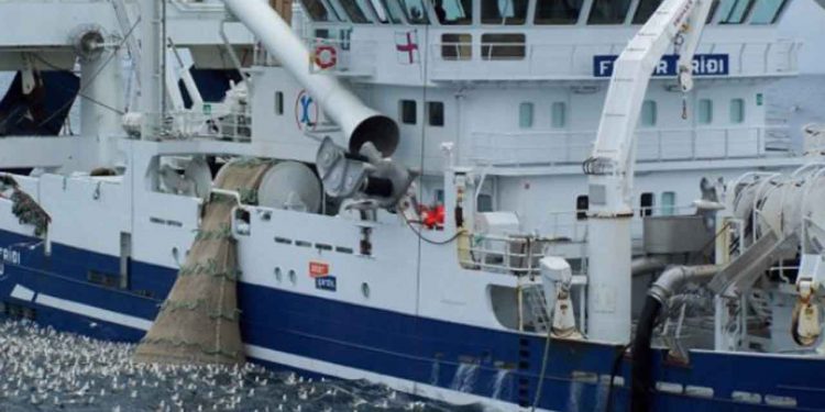 Godt sildefiskeri ved Island i efterårsmånederne foto: Vardin Pelagic