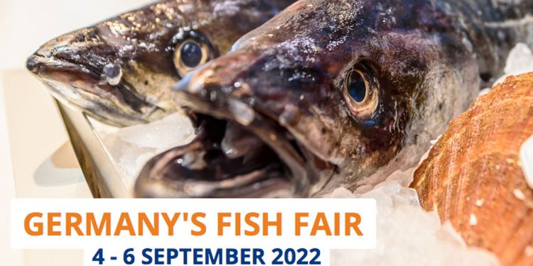 »Fish International 2022« er flyttet - MESSE BREMEN