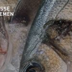 Efterspørgslen efter fisk er tilbage på et mere normalt niveau igen - Messe Bremen Fish International