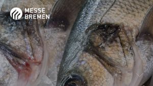 Efterspørgslen efter fisk er tilbage på et mere normalt niveau igen - Messe Bremen Fish International