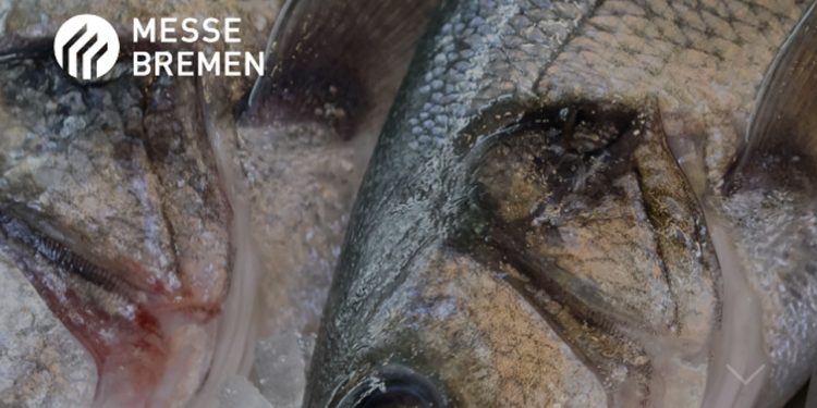 Efterspørgslen efter fisk er tilbage på et mere normalt niveau igen - Messe Bremen Fish International