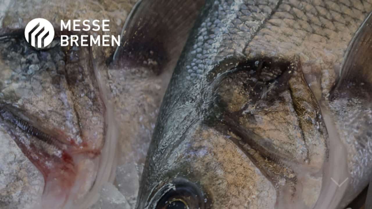 Read more about the article Efterspørgslen efter fisk er tilbage på et mere normalt niveau igen
