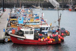 Engelske fiskefartøjer under 12 meter skal have monteret I-VMS ombord foto: Wikipedia