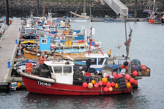 Read more about the article Engelske fiskefartøjer under 12 meter skal have monteret I-VMS ombord