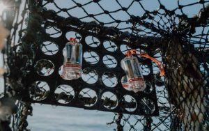 Fishtek Marine PotLights installed in a specially design pot