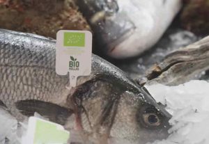 Mange store indkøbere fra de europæiske detailkæder afventer messen i Barcelona, før de låser sig fast på større mængder. Håbet er at forhandle bedre aftaler på plads ansigt til ansigt.  foto: Seafood Expo Global