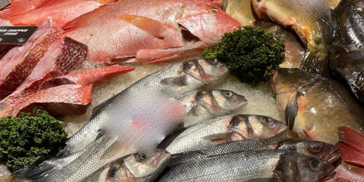Der er aftalt opretholdelse af flere toldfrie kvoter for væsentlige fiske-produkter, og samtidig åbner EU nye kvoter for forarbejdet laks, røget laks og frosne, pillede rejer. Dog er det ikke blevet til en aftale om makrelprodukter. arkivfoto: FiskerForum.dk