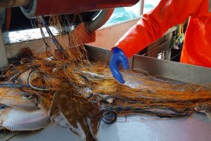 Erhvervsfiskerne i Nordsøen mener mængden af spøgelsesgarn er minimal foto: Hvalpsund net