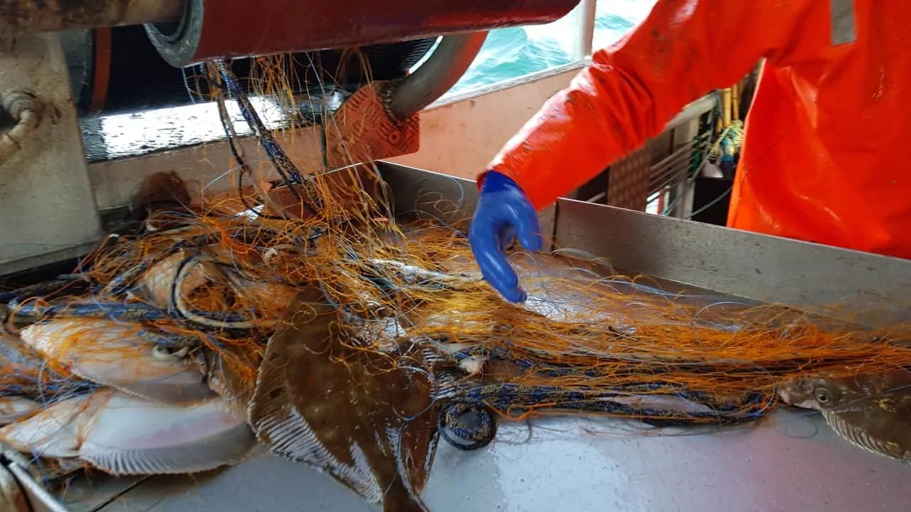 Read more about the article Erhvervsfiskerne i Nordsøen mener mængden af spøgelsesgarn er minimal