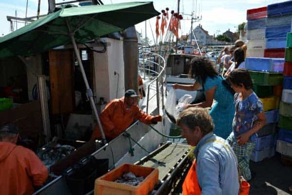 Read more about the article Hav Frisk Fisk – sælg dine fisk direkte fra kajen !