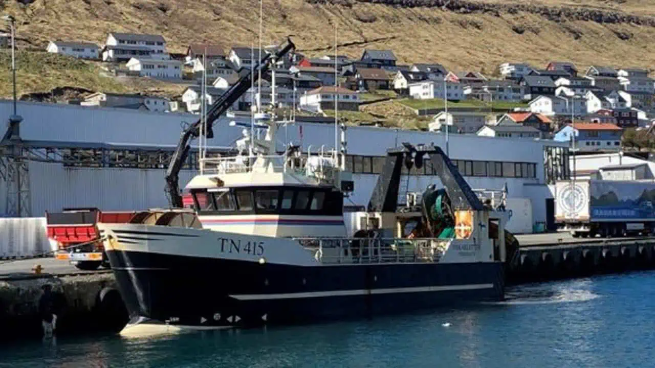 Read more about the article Færøerne: De mindre trawlere lander rundfisk