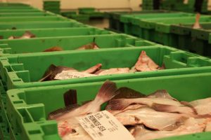 Ny Fiskeriaftale med kvotekonge-kontrol