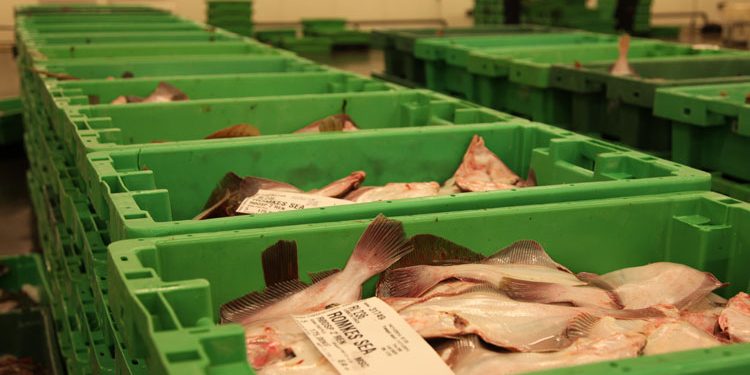 Ny Fiskeriaftale med kvotekonge-kontrol