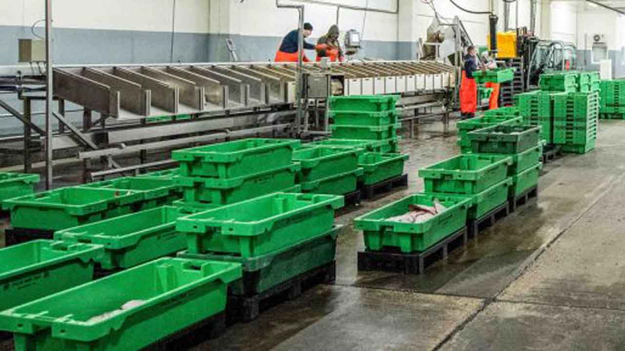 Read more about the article Hvorfor er fiskeriet så vigtigt for Danmark?