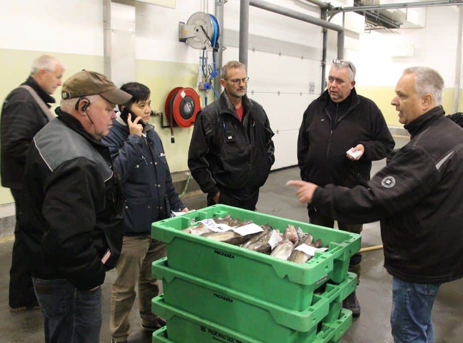 Read more about the article Norske fiskeindkøbere beskylder norske fiskere for snyd når de lander i Danmark