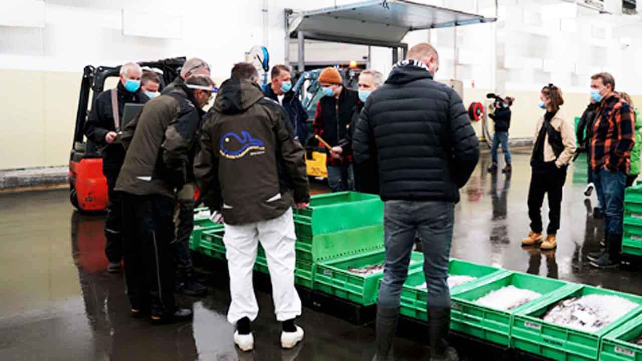 Read more about the article »Den kære co2 afgift«