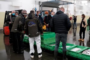 Breaking: Fiskernes Fiskesortering overtager fiskeauktionen i Hirtshals. foto: Hirtshals Havn