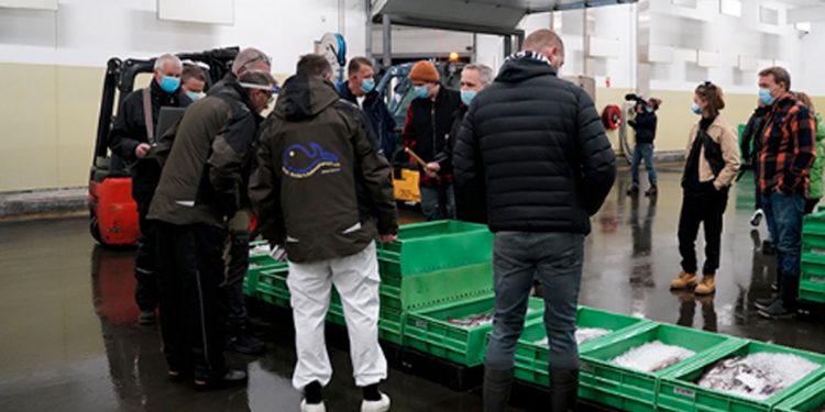 Breaking: Fiskernes Fiskesortering overtager fiskeauktionen i Hirtshals. foto: Hirtshals Havn