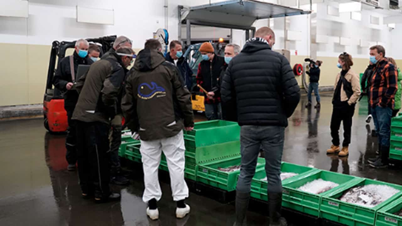 Read more about the article Breaking: Fiskernes Fiskesortering overtager fiskeauktionen i Hirtshals