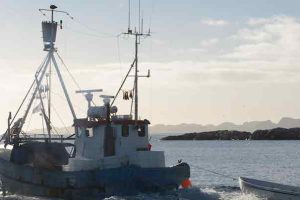 Grønlandsk fiskefartøj - Naalakkersuisut