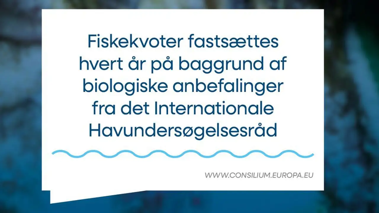 Read more about the article Fiskekvoter er med til at sikre et bæredygtigt fiskeri