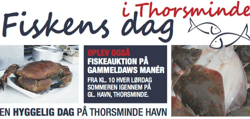 Read more about the article Fiskens Dag på Thorsminde Havn