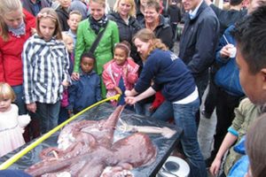 TV-kok fyrer op under national skoledyst på fiskens dag.  Foto: fra Fiskens dag på Rådhuspladsen i 2012