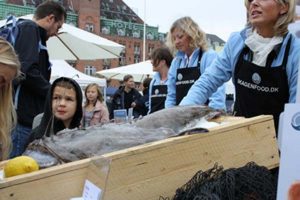 Rådhuspladsen i København svømmer i fisk på lørdag. Foto: Fra Fiskens Dag 2011 - fotograf: Kim eller eva