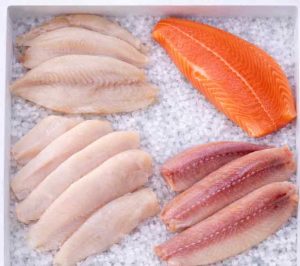 FriskFangetFisk.dk