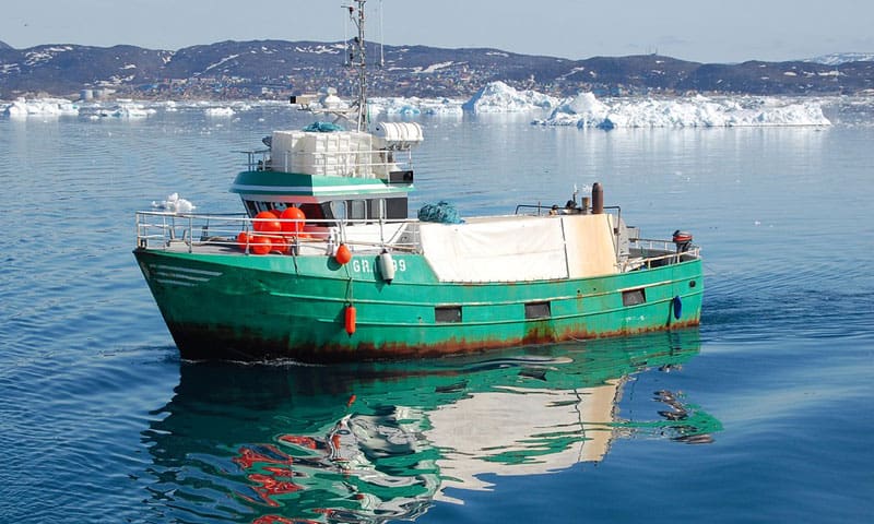 Read more about the article Grønlandsk Fiskerilov: Kruse holder fortsat redegørelse tæt til kroppen