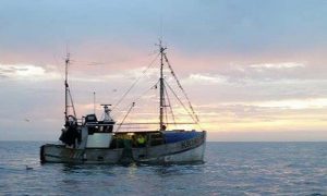 Fiskeriets Brutto-indtjening i første halvår af 2015.  Foto: