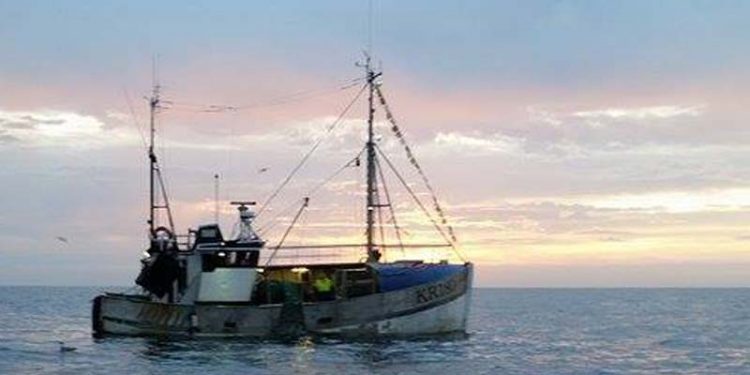 Fiskeriets Brutto-indtjening i første halvår af 2015.  Foto: