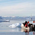 Eksporten af fiskeprodukter i 2024 indeholder de vigtigste fiskeprodukter som Grønland plejer at eksportere til udlandet. Foto: Naalakkersuisut Gl