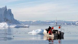 Eksporten af fiskeprodukter i 2024 indeholder de vigtigste fiskeprodukter som Grønland plejer at eksportere til udlandet. Foto: Naalakkersuisut Gl