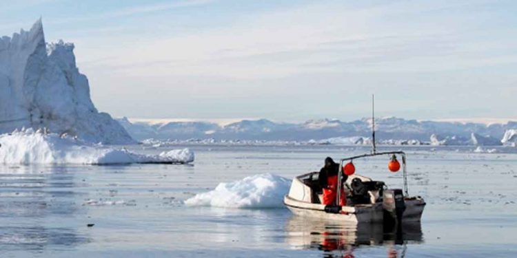 Eksporten af fiskeprodukter i 2024 indeholder de vigtigste fiskeprodukter som Grønland plejer at eksportere til udlandet. Foto: Naalakkersuisut Gl