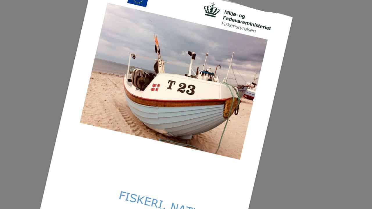 Read more about the article Søg tilskud til udvikling af fiskerierhvervet