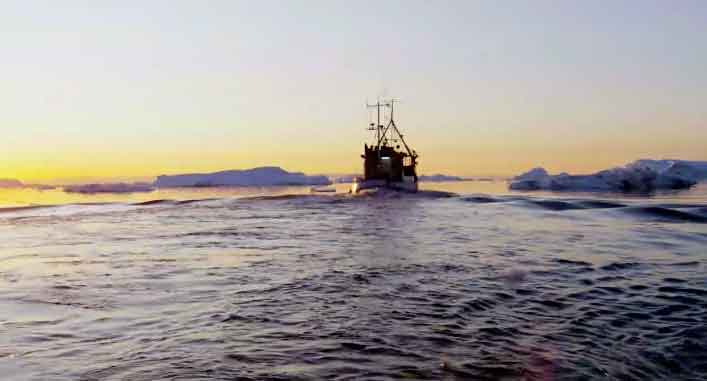 Read more about the article Arctic Expo og Polar Expo 2026: Fiskeriets nye kampplads i Nordatlanten