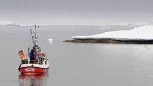 Den grønlandske fiskeindustri kan stå over for endnu et hårdt slag. Polar Seafood advarer nu om, at selskabets fabrik i Aasiaat – Polar Raajat – er i akut risiko for at måtte lukke, hvis der ikke hurtigt findes en løsning på manglen på råvarer. foto: Polarseafood