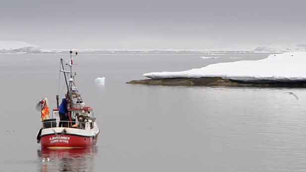 Den grønlandske fiskeindustri kan stå over for endnu et hårdt slag. Polar Seafood advarer nu om, at selskabets fabrik i Aasiaat – Polar Raajat – er i akut risiko for at måtte lukke, hvis der ikke hurtigt findes en løsning på manglen på råvarer. foto: Polarseafood