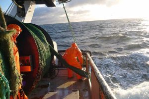 Brexit: EU sælger ud af fiskeriet, mener Hollandske fiske-organisationer