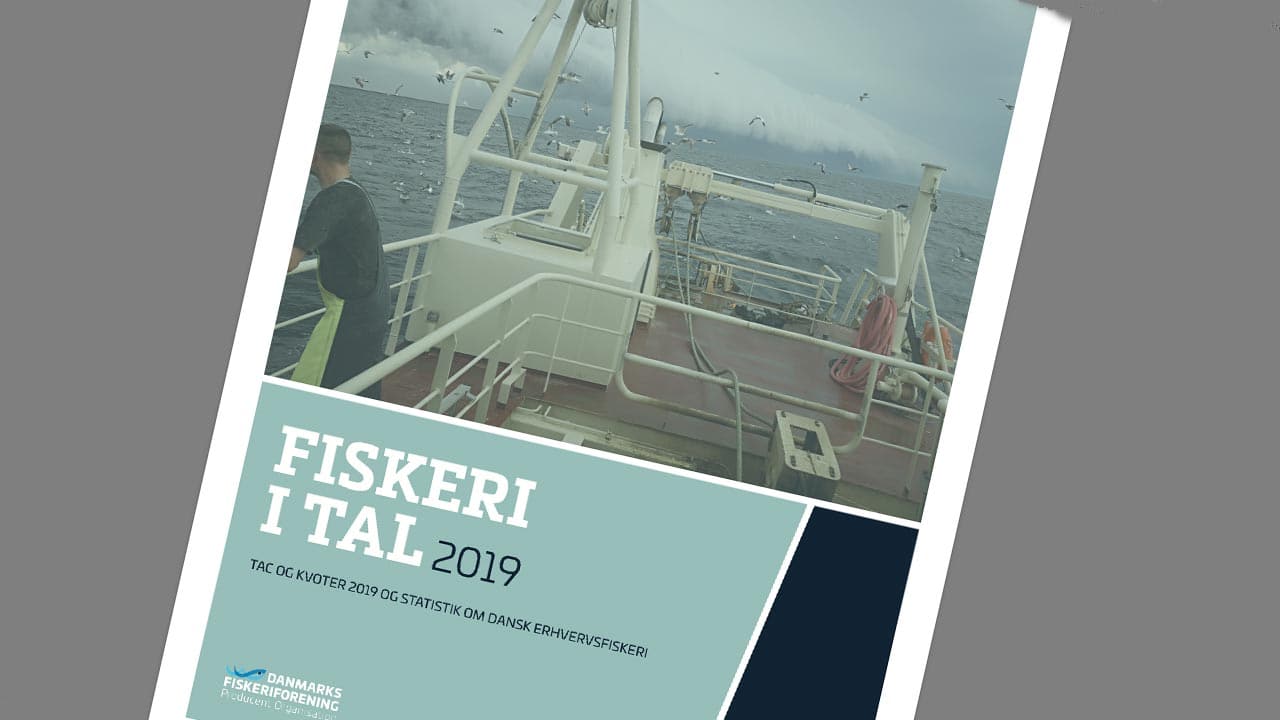 Read more about the article Et godt år for de – fleste – danske fiskere