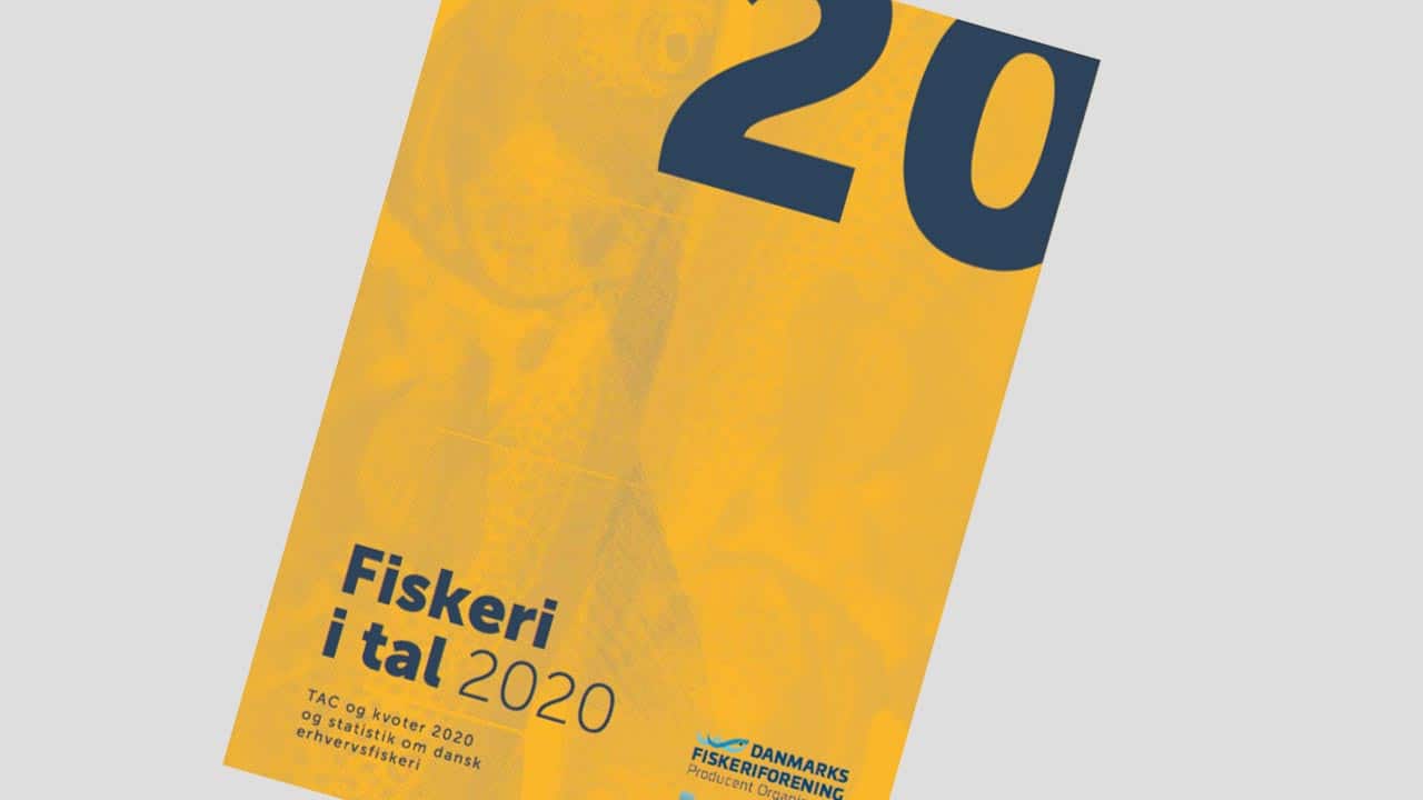 Read more about the article »Dansk fiskeri i tal 2020« fra DFPO og DPPO er udkommet