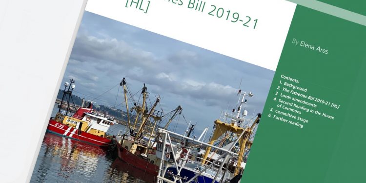Briternes nye fiskerilov er uden krav om bæredygtighed og overholdelse af MSY-kravene