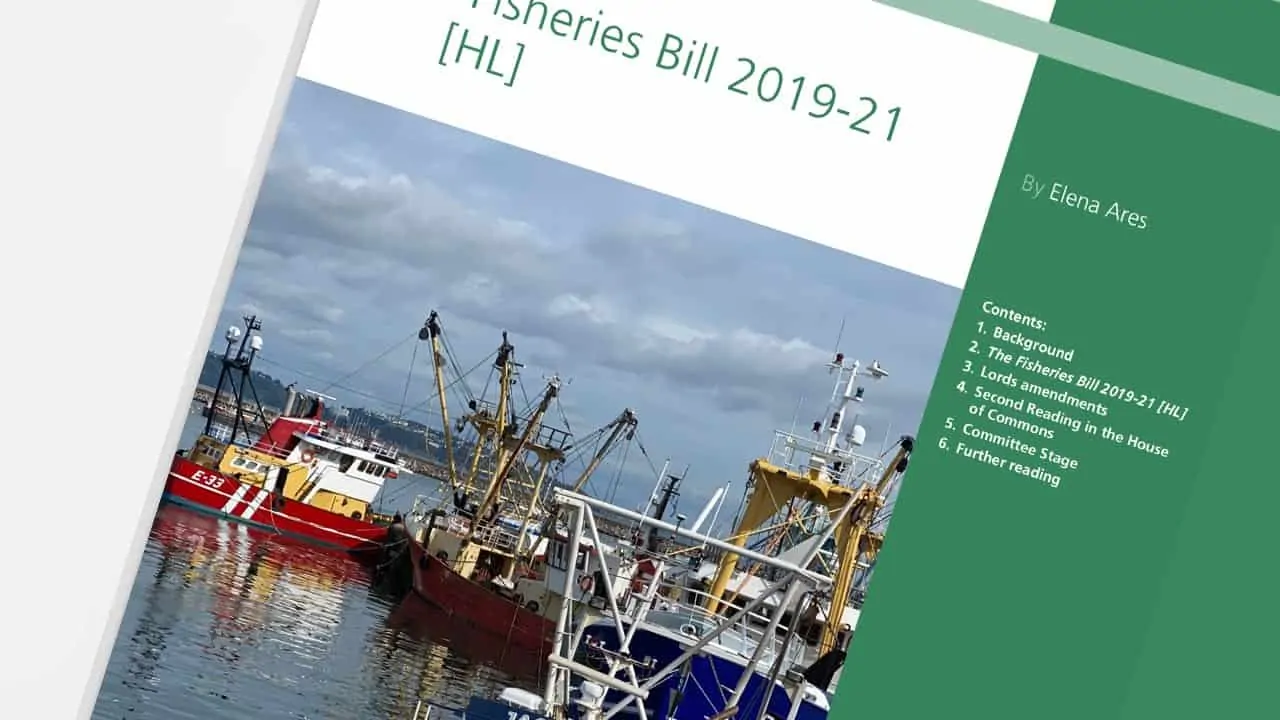 Read more about the article Briternes nye fiskerilov er uden krav om bæredygtighed og overholdelse af MSY-kravene