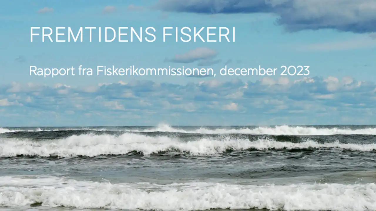 Read more about the article Fiskerikommissionen klar med 19 anbefalinger om fremtidens fiskeri