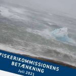 Den grønlandske fiskerikommission har udgivet sin betænkning